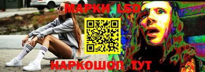 PSILOCYBIN Донской