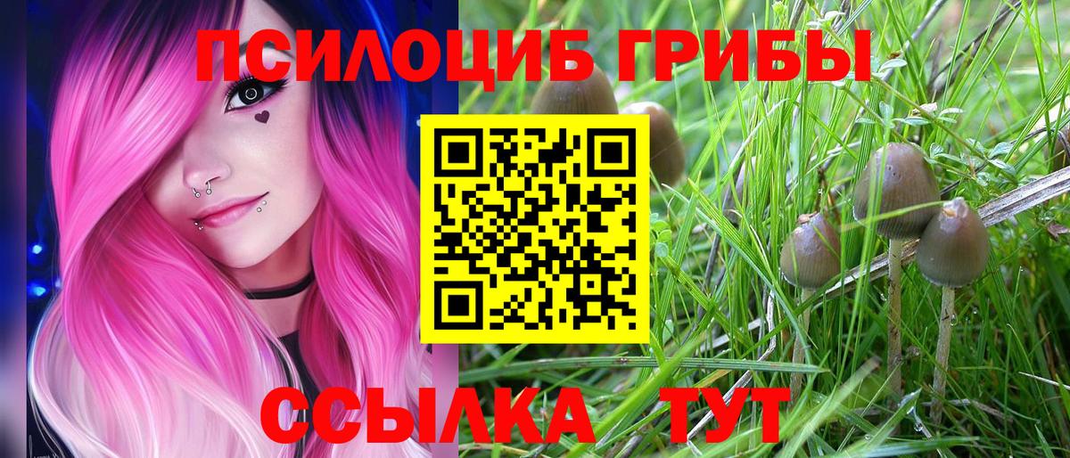 цены   Псилоцибиновые грибы GOLDEN TEACHER  Вход с VPN  Нижневартовск 